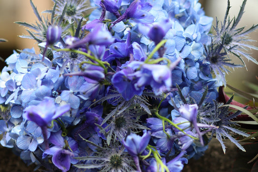 Blues- Florist Designed Presentation Bouquet