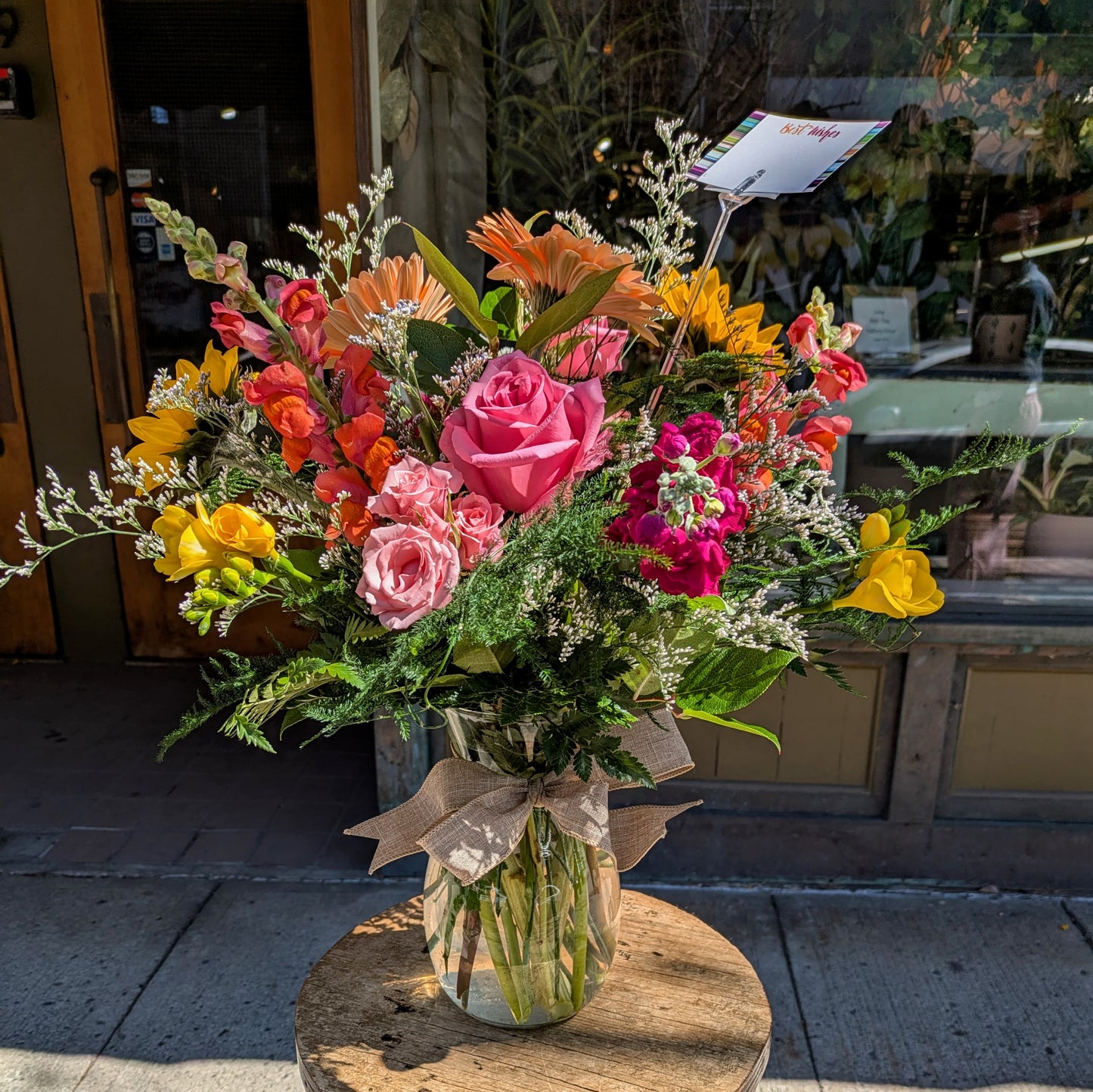 Pet Friendly- Designer's Selection