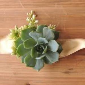 Succulent Boutonniere