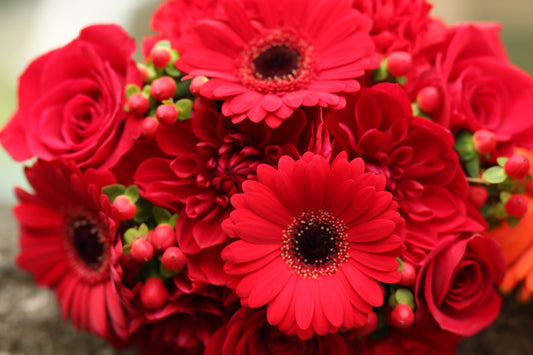 Reds- Florist Designed Presentation Bouquet