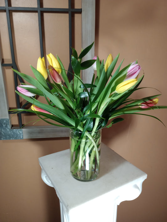 Mixed Tulips