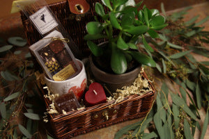 Plant Lover's Gift Basket